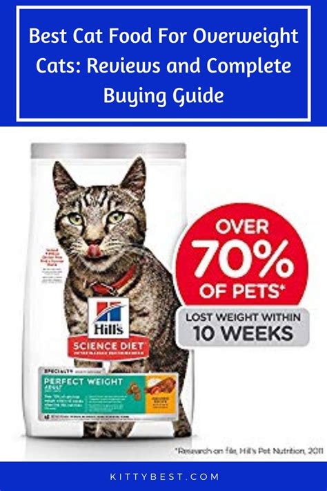 Best Cat Food For Overweight Cats: Reviews and Complete Buying Guide ...