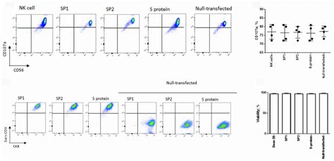 figure 2 – nk cells 2