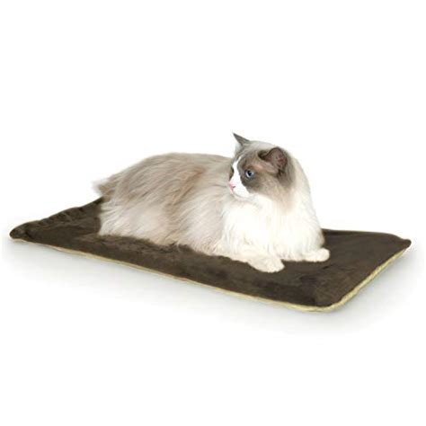 The 25 Best Cat Heating Pads - Cat Life Daily