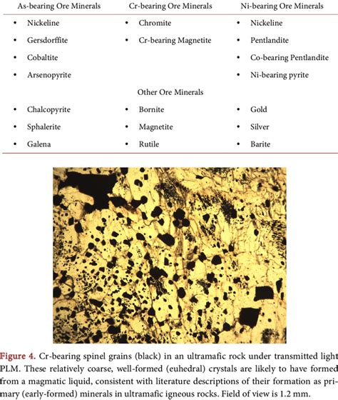 Ore minerals identified in samples from the site and surrounding area ...