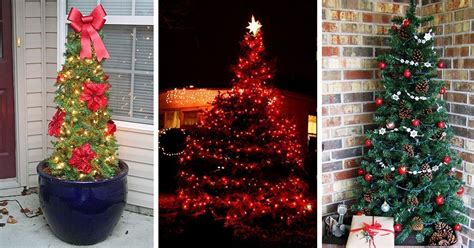 22 Best Outdoor Christmas Tree Decorations and Designs for 2024