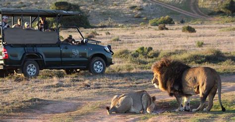 From Cape Town: 2-Day Safari at Garden Route Game Lodge | GetYourGuide