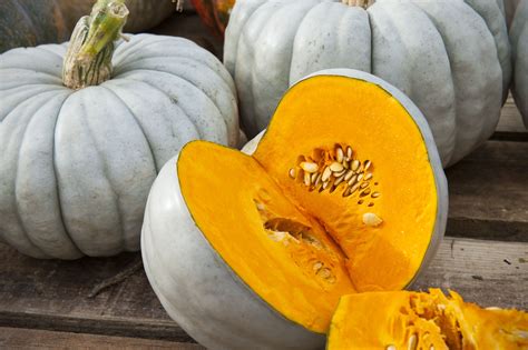 10 pumpkin and winter squash varieties you should know | Winter squash ...