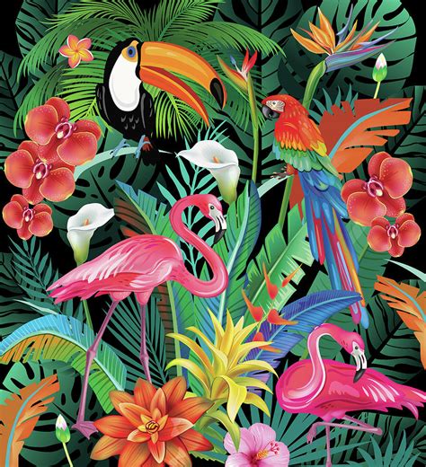 Tropical flowers and birds Drawing by Julien - Pixels