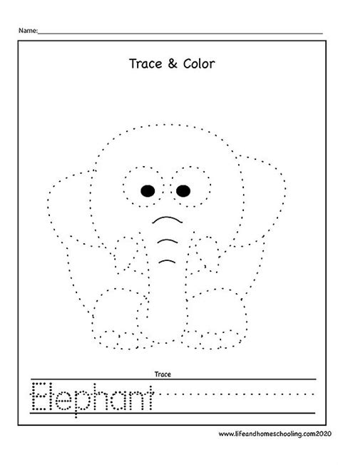 an elephant trace and color worksheet