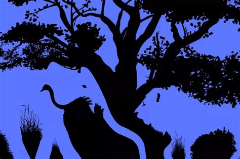 The optical illusion that reveals a key personality trait - which animal do you see? - Daily Record