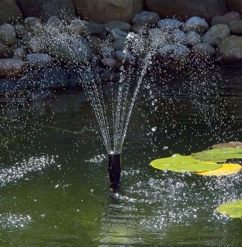 How to Oxygenate a Pond Without Electrical Pumps (Best Eco Methods) - Pond Informer | Pond pumps ...