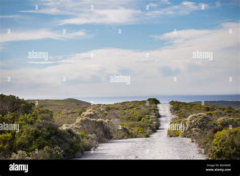 Agulhas National Park protects fynbos habitat and offers hiking trails and beach combing near ...