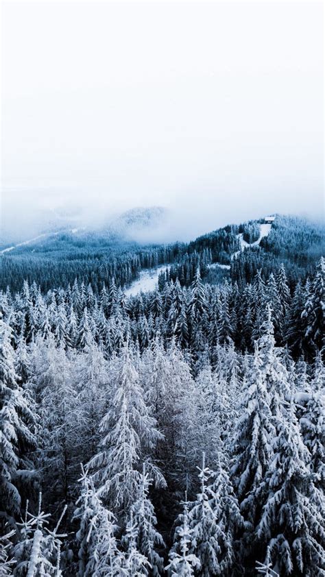 iPhone Winter Trees Wallpapers - Wallpaper Cave