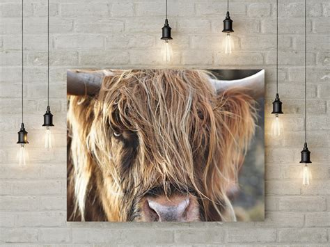 Scottish Highland Cow Canvas in the Uk Glorious Wall Art Decor - Etsy UK