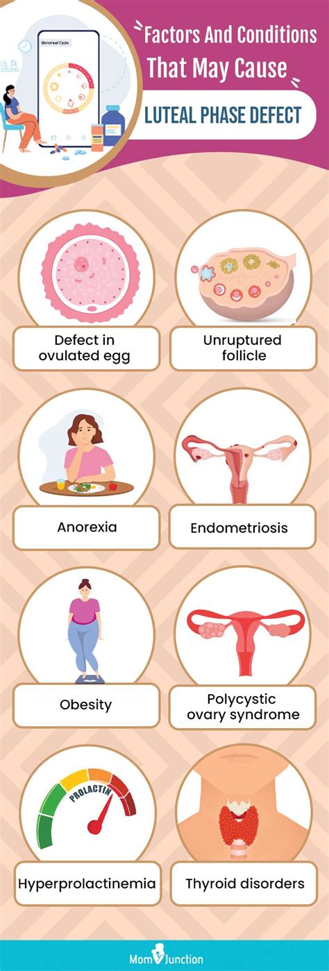 Luteal Phase Defect: What It Is, Symptoms And Treatment