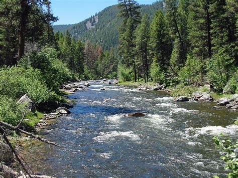 Rock Creek in Montana | Detailed Fly Fishing & Floating Guide