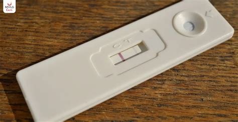 Evaporation Line vs Faint Positive: The Ultimate Guide to Pregnancy Test Results | MyloFamily