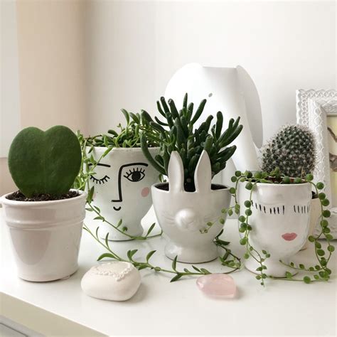 Indoor Plant Pots - How to Pick a Pot for Your Plant and Your Home - My Tasteful Space
