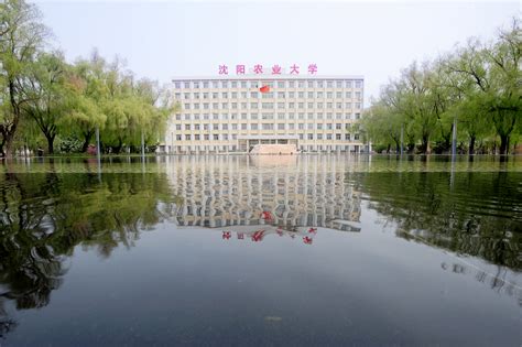 Shenyang Agricultural University SYAU - China Admissions