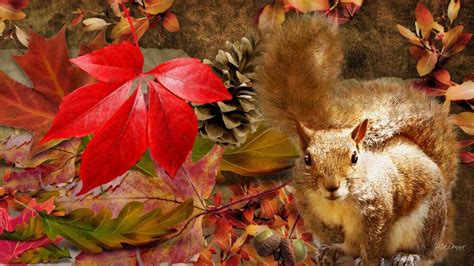 Squirrel Autumn HD desktop wallpaper : Widescreen : High Definition : Fullscreen