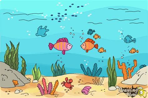 How to Draw an Underwater Scenehow to Draw an Underwater Scene - DrawingNow