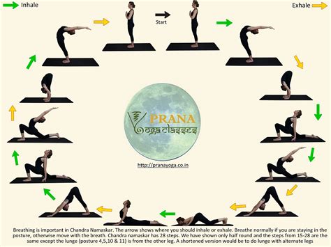 Namaskar Yoga Meaning | Blog Dandk