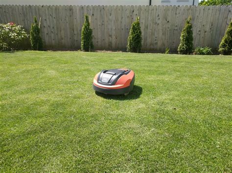 Are Robot Lawn Mowers Any Good? - My Robot Mower