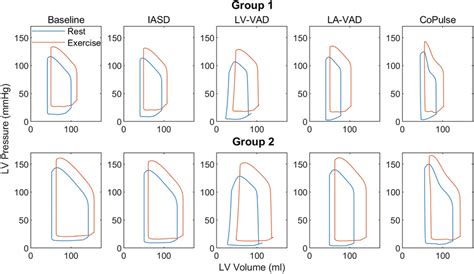 Pressure–volume loops at rest (blue) and exercise (red) for Group 1... | Download Scientific Diagram