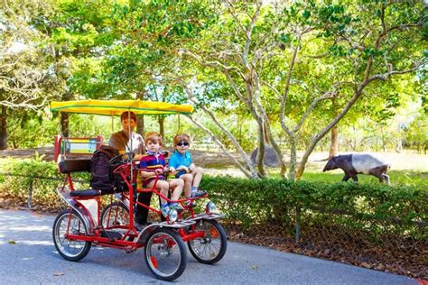 Things to do at the Miami Zoo: Animals, Attractions, Tickets...