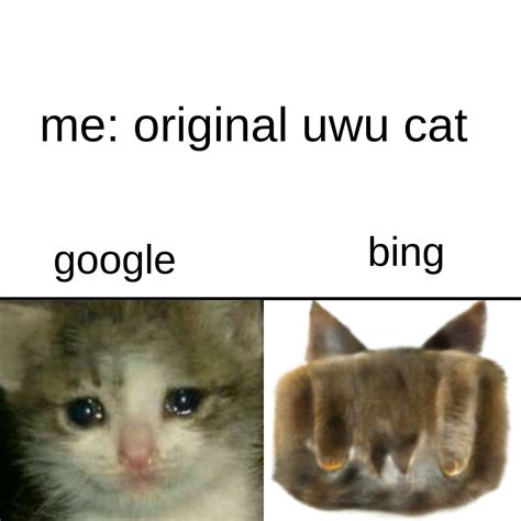 found the O.G. uwu cat : r/meme