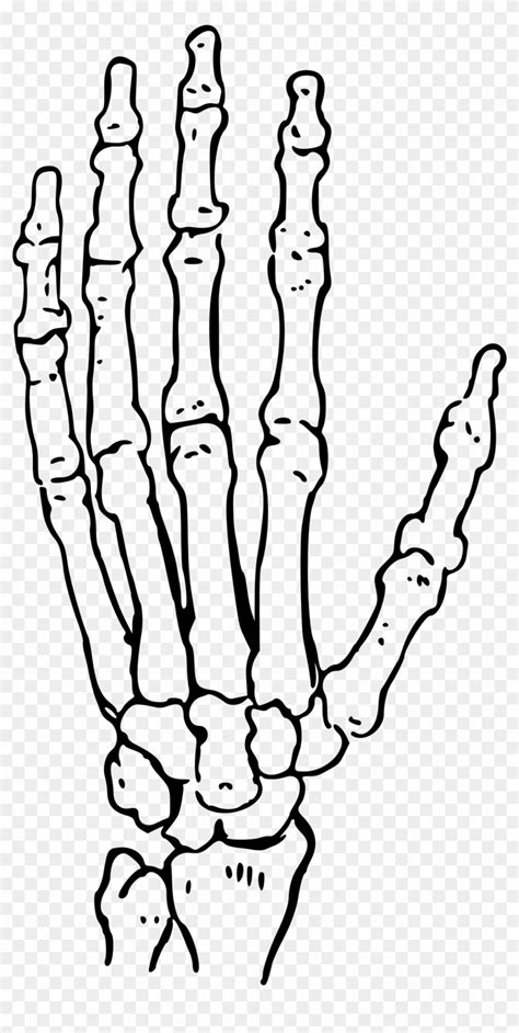 Skeleton Hand Heavy Metal Vector Illustration Stock Illustration - Clip ...