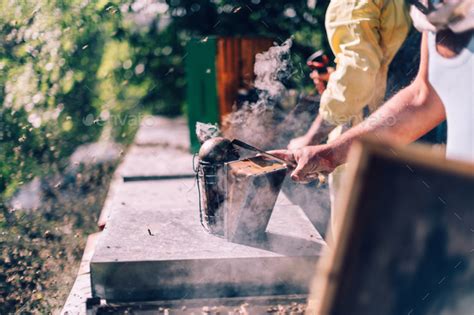 bees keeping and honey production Stock Photo by carlo_p | PhotoDune