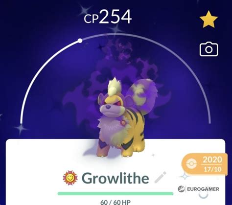 Growlithe 100% perfect IV stats, shiny Growlithe in Pokémon Go | Eurogamer.net