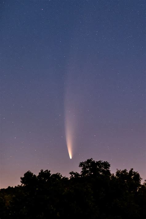 Comet NEOWISE C/2020 F3 - Sky & Telescope - Sky & Telescope