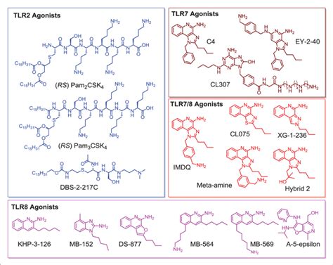 Structures of TLR agonists arranged by receptor target. TLR2 agonists... | Download Scientific ...