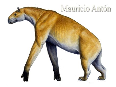 Extinct animals, Prehistoric animals, Stone age animals