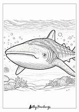 28 Shark Coloring Pages  Free Printable Images sketch template