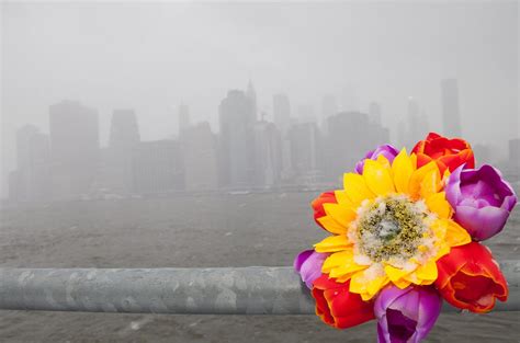 LoveIsAmor.com – Snowfall at the Brooklyn Bridge Park. New York City. 3 ...