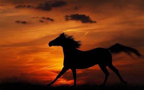 60+ Horse backgrounds ·① Download free stunning High Resolution wallpapers of Horses for desktop ...