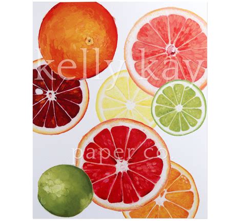 Citrus Fruit Art Print – KellyKay