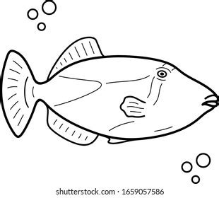 Official State Fish Hawaii Vector Outline Stock Vector (Royalty Free) 1659057586 | Shutterstock