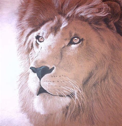 Art Project: FOR ASLAN by Aesc-leah on DeviantArt