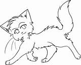 Warrior cat coloring Pages To Download And Print For Free sketch template