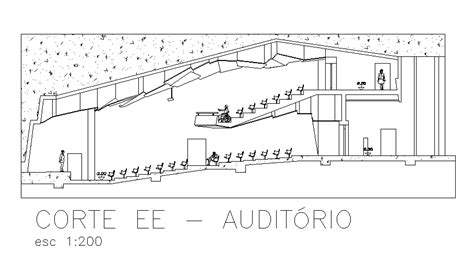 Section view of small Auditorium plan is given in this Autocad drawing ...