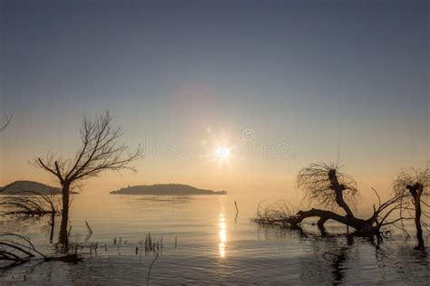 Beautiful Sunset at Trasimeno Lake Umbria, with Perfectly Still Water, Skeletal Trees and ...