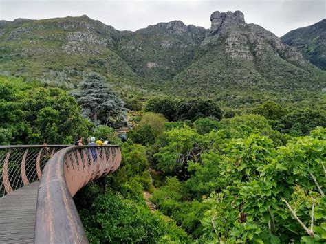 Kirstenbosch Botanical Gardens Cape Town Map | Fasci Garden