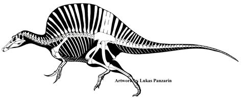 Spinosaurus – a Hint