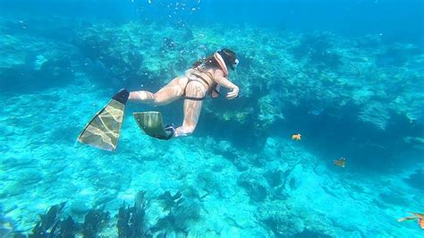 Snorkeling | Key West, Florida (World's Third Largest Coral Reef) - YouTube