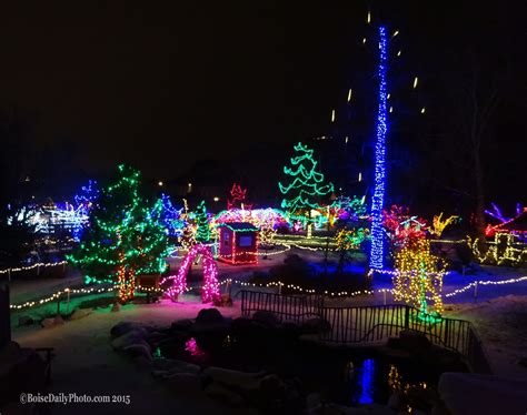 Boise Daily Photo: Winter Garden aGlow