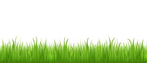 Lawn Desktop Wallpaper Clip art - grass png download - 1667*724 - Free ...