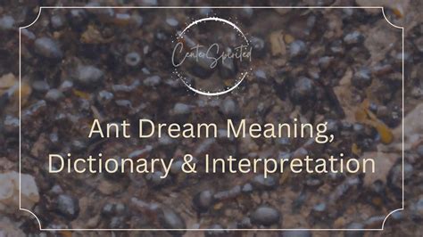 Ant Dream Meaning, Dictionary & Interpretation