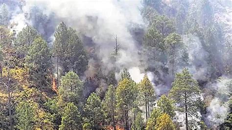 Centre deploys NDRF choppers, team to tackle Uttarakhand forest fires, CM Rawat calls meeting ...