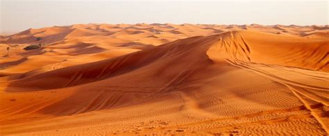 Desert Safari In Riyadh That Fascinates Every Traveler