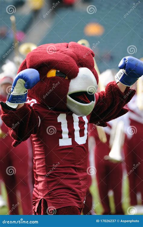 Hooter - the Temple University Owls Mascot Editorial Photography - Image of mascot, fuzzy: 17026237